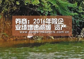 券商:2016年险企业绩增速减缓 资产配置保持平稳_MK体育App官网入口 (图3) MK体育App官网入口
