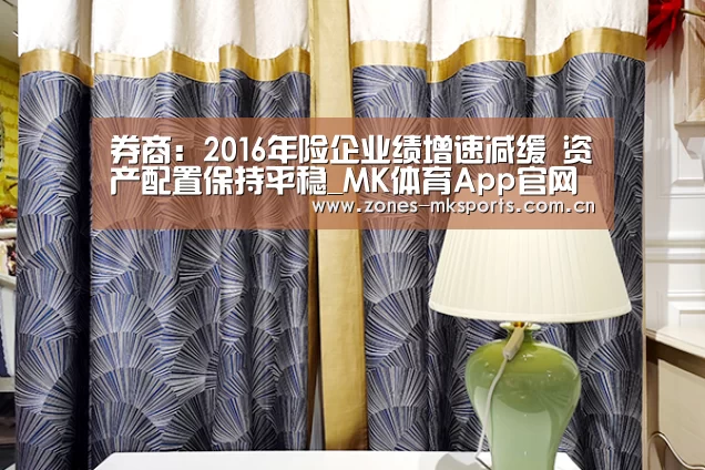 券商:2016年险企业绩增速减缓 资产配置保持平稳_MK体育App官网入口 (图2) MK体育