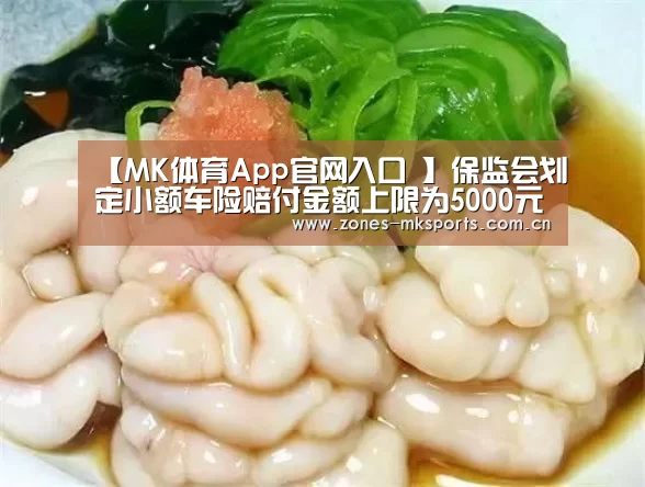 【MK体育App官网入口 】保监会划定小额车险赔付金额上限为5000元(图3) MK体育App官网入口