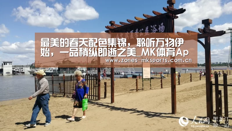 MK体育App官网入口 