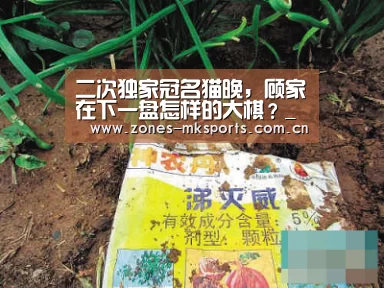 二次独家冠名猫晚,顾家在下一盘怎样的大棋?_MK体育App官网入口 (图3) MK体育